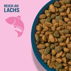 Perfect Fit Adult 1+ Reich an Lachs