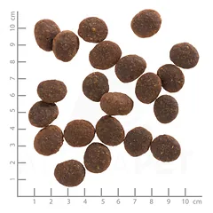 WOLFSBLUT Adult Black Marsh sausas maistas suaugusiems šunims su buivoliena ir batatais 2 kg — 4 nuotrauka