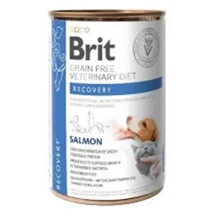 BRIT GF Veterinary Diets Recovery Salmon 400g - drėgnas maistas katėms ir šunims
