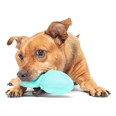 Bark žaislas šunims Whiz aštuonkojis, apie L 26 x B 14 x H 5,4 cm — 4 nuotrauka