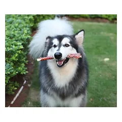 Bubu PETS Duck wraps 28cm rawhide stick – buivolo odos lazdelės su antienos mėsa , 320g — 3 nuotrauka