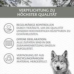 Wolf of Wilderness Senior – mišrus rinkinys, drėgnas maistas šunims, > 500 g — 2 nuotrauka