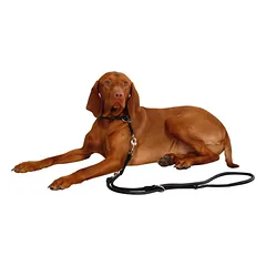 KERBL Choker Roma odinis antkaklis šunims, 60cm - 8mm, juodas — 2 nuotrauka