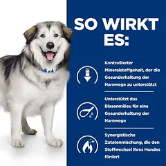 Hill's Prescription Diet c/d Multicare Urinary + Metabolic sausas maistas šunims — 5 nuotrauka