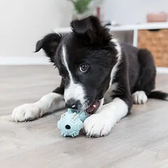 Trixie Junior žaislas šunims hantelis, masažuoja dantenas, įv. spalvų