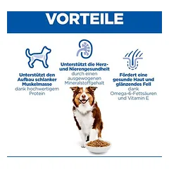 Hill's Science Plan Mature Adult 7+ Medium su vištiena, sausas maistas šunims, > 10 kg — 5 nuotrauka