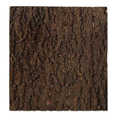Repti Planet Background Cork Natural terariumo fonas, natūralaus kamštinio ąžuolo reljefas, 43.5x41x20 cm