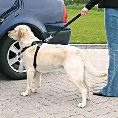 TRIXIE Petnešos automobiliui, XS-S 20-50 cm-15 mm, juodos (pak.3) — 4 nuotrauka