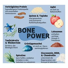 BugBell Bone Power, 5 - 9,9 kg — 4 nuotrauka