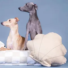 PAIKKA Hundespielzeug Schatzmuschel photo