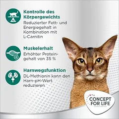 Concept for Life Sterilised Cats su lašiša, sausas maistas katėms, 3 - 4,9 kg — 5 nuotrauka