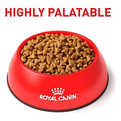 Royal Canin VD Gastrointestinal Fibre Response sausas maistas katėms nuo vidurių užkietėjimo, 4 kg — 2 nuotrauka