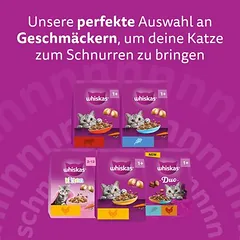 Whiskas 1+ su jautiena, sausas maistas katėms, < 1,4 kg — 5 nuotrauka