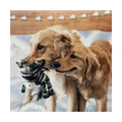 KONG žaislas šunims Yarnimals Dog, XS/S — 4 nuotrauka