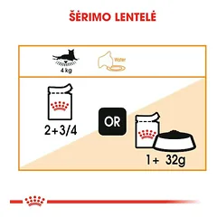 Royal Canin Intense Beauty in jelly šlapias maistas katėms, 12 x 85 g — 2 nuotrauka