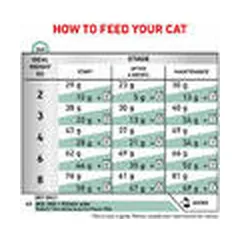 Royal Canin Vet VD Satiety Weight Management veterinarinis drėgnas maistas katėms 12x85g — 3 nuotrauka