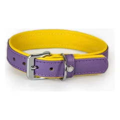 Das Lederband Hundehalsband Firenze Lilac/Sunshine