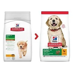 Hill's Science Plan Large Breed Puppy Chicken sausa pašaras šunims iki 1 metų, 16 kg — 2 nuotrauka