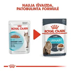 ROYAL CANIN FCN Urinary care in gravy konservai suaugusioms katėms, šlapimo sistemos veiklai 12x85 g — 2 nuotrauka