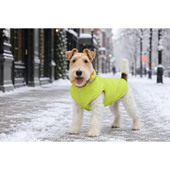 PAW COUTURE gyvūnų augintinių liemenė, geltona, geltona, 4XL dydis — 2 nuotrauka
