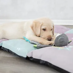 Trixie Junior žaislas šuniukams meškiukas, Labai mažiems < 4 kg — 4 nuotrauka