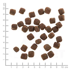 Wolfsblut Small Breed Wild Duck Adult sausas maistas mažų veislių šunims su laukine antiena, 2 kg — 4 nuotrauka