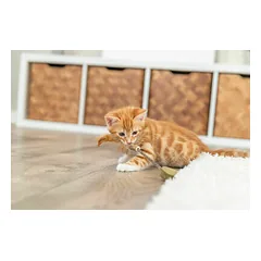 Trixie Matatabi Lolly Širdelė 23 cm — 2 nuotrauka