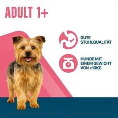 Perfect Fit Adult (<10 kg) su jautiena, sausas maistas šunims — 2 nuotrauka