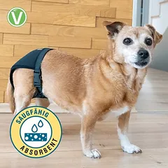 Vetlando kelnaitės tuoktuvių metu, Dideliems 26–45 kg — 4 nuotrauka