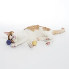 TIAKI LED kamuoliukai katėms, 2 vnt. — 4 nuotrauka
