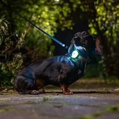 Nomad Tales Bloom USB Light šviečiantis pakabukas, žalia — 2 nuotrauka
