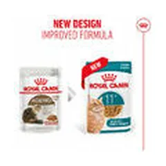 Royal Canin FHN Ageing 11+ padaže, drėgnas maistas katėms 85 g — 3 nuotrauka