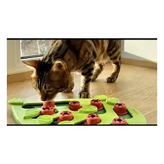 Nina Ottosson Cat Buggin' Out Puzzle - edukacinis žaislas katėms, lygis, 2 — 2 nuotrauka