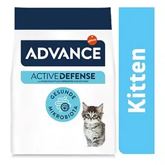 Advance Kitten