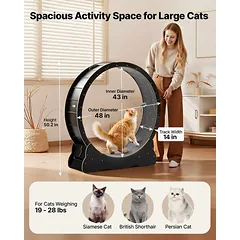 Kačių bėgimo ratas VEVOR, Ø 120 cm, Juoda, Ø 120 × 127,5 cm — 2 nuotrauka