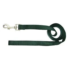 Hamilton Single Thick Leash Long - nailoninis pavadėlis mažų veislių šunims, plotis 16 mm, ilgis, Niebieski / 183cm — 5 nuotrauka