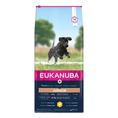 Eukanuba Junior Large Breed Chicken sausas maistas šunims 15 kg