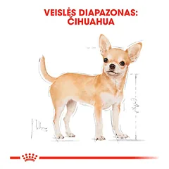 ROYAL CANIN Chihuahua Adult sausas pašaras šunims, BHN 1.5kg — 4 nuotrauka