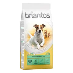 Briantos Adult Mini Lamm & Reis