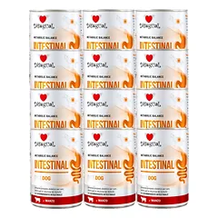 Disugual Veterinary drėgnas šunų maistas INTESTINAL Beef (suaugusiems) 12x400g