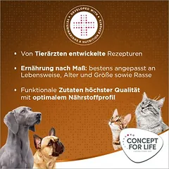 Concept for Life Medium Adult sausas maistas šunims, > 10 kg — 5 nuotrauka