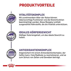 Royal Canin Expert Mature Consult Balance Mousse drėgnas maistas katėms — 3 nuotrauka