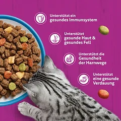 Whiskas 1+ su tunu, sausas maistas katėms, 3 - 4,9 kg — 5 nuotrauka