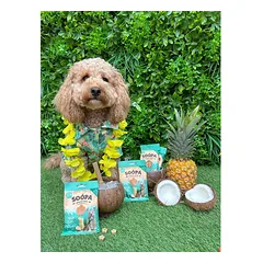 SOOPA Paw-Na Colada skanėstai šunims Dog Treats, 50g — 5 nuotrauka