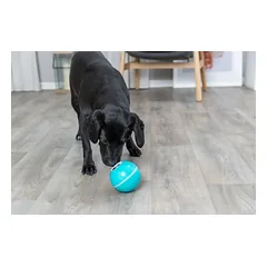 Trixie skanėstų kamuoliukas šunims, plastikas, mėlynas, ø 7.5 cm — 3 nuotrauka