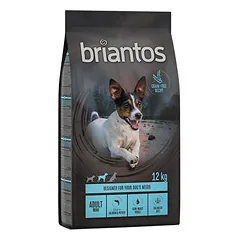 Briantos Adult Mini Lachs & Kartoffel - GETREIDEFREIE Rezeptur