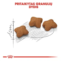 ROYAL CANIN FHN Kitten sterilised sausas maistas sterilizuotiems kačiukams 400 g — 4 nuotrauka