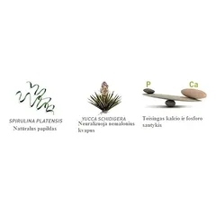 Maistas jauniems dekoratyviniams triušiams Wellness Young Dwarf Rabbits 2x1 kg — 2 nuotrauka
