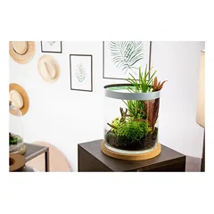 Zolux Akvariumas Cilindro formos 12 l