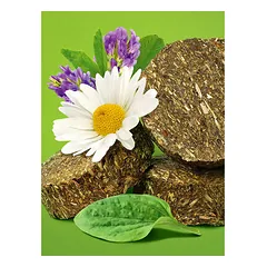 Longside Bonding skanėstai arkliams, sveikos žolelės 500 g — 2 nuotrauka
